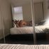 Thumbnail Image 7 of Melbourne Escort Mimi