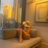 Thumbnail Image 2 of Melbourne Escort SOPHIE Larochelle