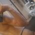 Thumbnail Image 2 of Brisbane Trans Escort D....dm me for more info xx
