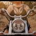 Thumbnail Image 1 of Palmerston Escort Raven Rose