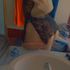 Thumbnail Image 3 of Perth Escort Arianna X