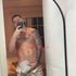 Thumbnail Image 2 of Perth Male Escort Jayy