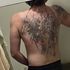 Thumbnail Image 1 of Perth Male Escort Johnnydolla