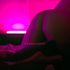 Thumbnail Image 2 of Perth Trans Escort Mother June