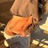 Chloe  - Sunshine Coast Escort - Thumbnail Image 1