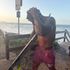 Thumbnail Image 2 of Sunshine Coast Male Escort Ryan 