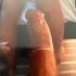 Thumbnail Image 4 of Perth Male Escort Hugh Mccartney