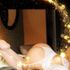 Thumbnail Image 4 of Sydney Escort Annika