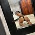 Thumbnail Image 0 of Taree Escort Zara 