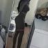 Thumbnail Image 1 of Perth Escort Nicole