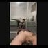 Thumbnail Image 0 of Redcliffe Escort Kat 