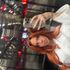 Thumbnail Image 2 of Brisbane Escort Sadie Auclaire