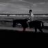 Thumbnail Image 2 of Gold Coast Male Escort Tommy Hart