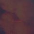 Thumbnail Image 12 of Melbourne Escort Sapphire Skye 