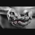 Thumbnail Image 7 of Perth Male Escort Michael 