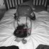 Thumbnail Image 2 of Adelaide Escort Mckenzie Mac