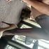 Thumbnail Image 4 of Maddington Escort Mrs D  
