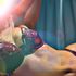 Thumbnail Image 4 of Adelaide Escort Pearl & Jade - Delicious Duo 
