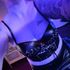 Thumbnail Image 5 of Adelaide Escort Ruby