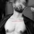 Thumbnail Image 0 of Adelaide Male Escort Shawn