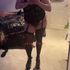 Thumbnail Image 1 of Brisbane Escort Anna bowen