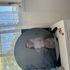 Thumbnail Image 6 of Brisbane Escort Kenzie