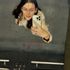 Thumbnail Image 8 of Brisbane Escort Kenzie