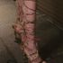 Thumbnail Image 4 of Brisbane Escort Lancy
