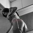 Thumbnail Image 3 of Brisbane Escort Micki Daniels