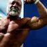 Thumbnail Image 0 of Brisbane Male Escort Big Bad Bruno