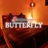 Thumbnail Image 7 of Canberra Adult Job Langtrees VIP Canberra