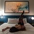 Thumbnail Image 9 of Canberra Escort Xena 0488 862 540