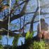 Thumbnail Image 4 of Canberra Trans Escort Liam 0488 862 560