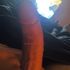 Thumbnail Image 1 of Christchurch NZ Male Escort Wade the hung & kinky 