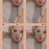 Thumbnail Image 4 of Sydney Escort Barbie-x69o 