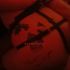 Thumbnail Image 11 of Brisbane Trans Escort Danni Bisexual Versatile Trans for All