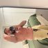 Thumbnail Image 0 of Brisbane Male Escort Ryan Dent