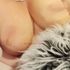 Thumbnail Image 1 of Adelaide Escort Chrissie Summers