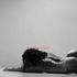 Thumbnail Image 3 of Melbourne Escort Bailey and Benjamin Black
