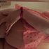 Thumbnail Image 5 of Geelong Escort Bella