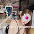 Thumbnail Image 8 of Sydney Escort 80 railway parade Glenfield & 105 Church st Parramatta