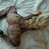 Thumbnail Image 7 of Melbourne Escort Miss Bianca Quinn