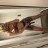 Thumbnail Image 11 of Melbourne Escort Siara Stein
