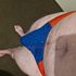 Thumbnail Image 3 of Adelaide Male Escort Fun188