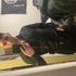 Thumbnail Image 4 of Melbourne Male Escort Dante Ravencroft