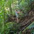 Thumbnail Image 2 of Melbourne Male Escort Steve