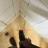 Thumbnail Image 1 of Melbourne Male Escort O.Niwa