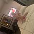 Thumbnail Image 3 of Melbourne Trans Escort Marcii Rayy