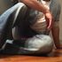 Thumbnail Image 6 of New Plymouth NZ Male Escort Thomas