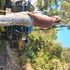 Thumbnail Image 6 of Gold Coast Male Escort Conor Fiántas